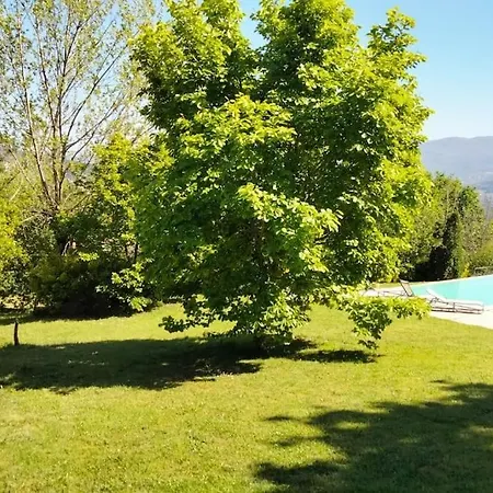 Confort, Fun And Leisure In Douro Rural Space Holiday home *