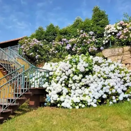Holiday home Confort, Fun And Leisure In Douro Rural Space